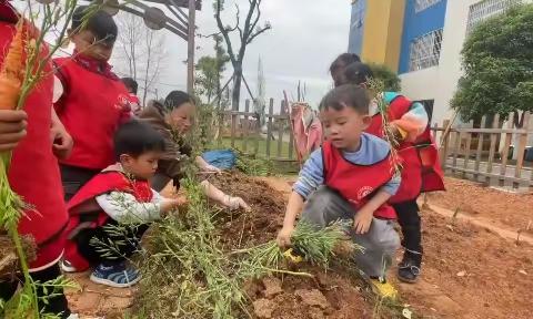 “芋”见你真好