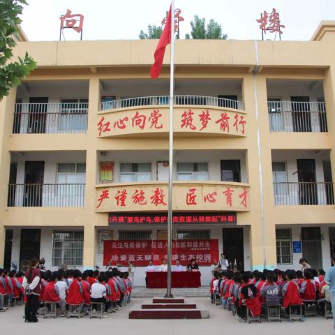 “爱鸟周，知鸟爱鸟护鸟”—马集镇第二学区东风小学“爱鸟周”科普知识进校园活动