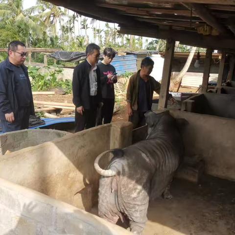 三江镇镇委书记开展遍访脱贫户工作