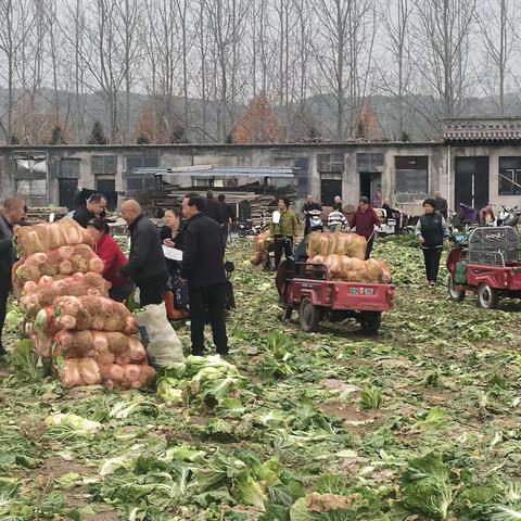 王坊村第二网格员＿陈军日常