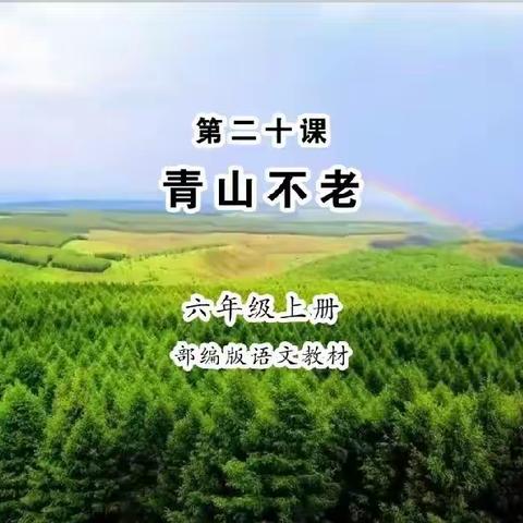 青山不老   研学不息——龙王庄镇六年级语文“同课异构”教研活动