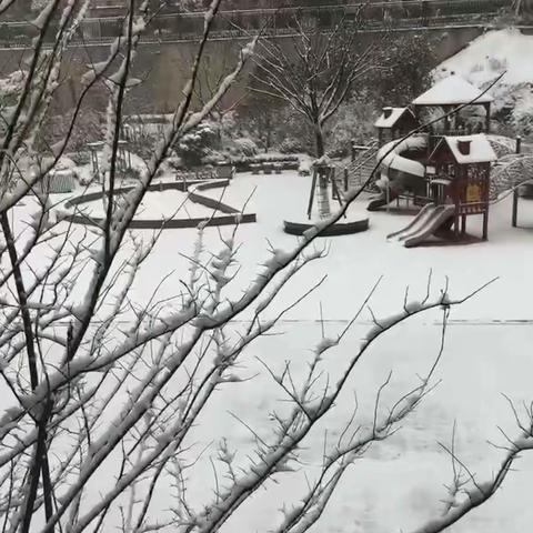 与冬日初雪的邂逅