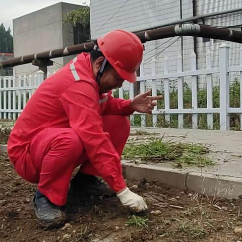 营业所用实际行动践行大学习大讨论