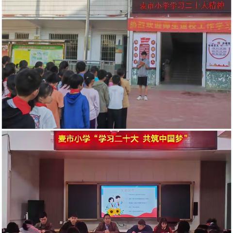 麦市小学学习贯彻党的二十大精神