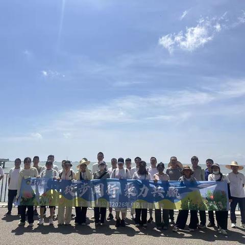 徒步向新，步履向光  —— 北海凤集举办户外徒步团建活动