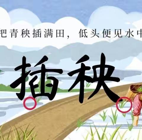 童心共欢乐  ，稻田“趣”插秧