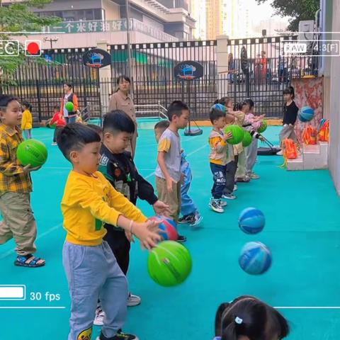 十一月与你们👦👧秦栏幼儿园大四班11月精彩回顾