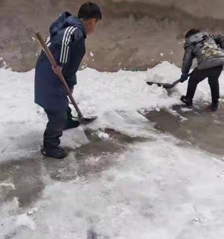 雪落大地景色美，携手除雪暖意浓