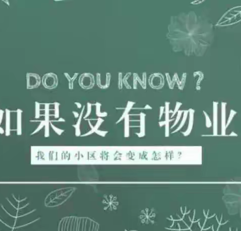 没有物业的小区，会怎样？