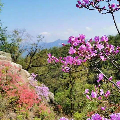 龙岩鼎轩物业榕树小区物业服务中心4月月报