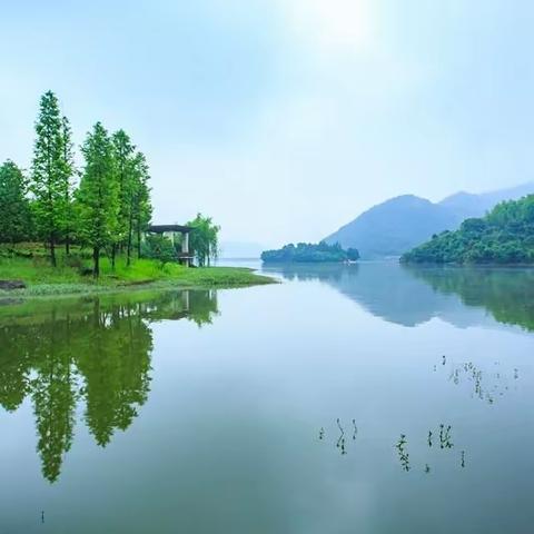 【建设路小学·书香校园】童声诵古文，书香伴成长—建小经典古文微课堂（第九期）