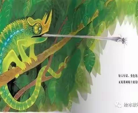 临朐县城关街道中心幼儿园【八点半枕边故事】之《聪明的变色龙》