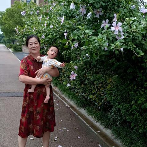 聪明的虎崽