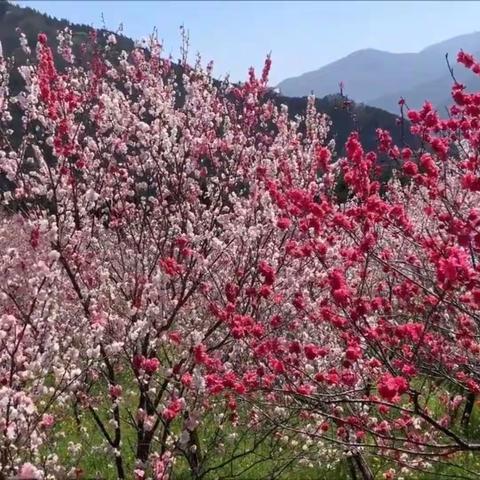 春生万物，美好启程        高一28班下学期首次月考颁奖会