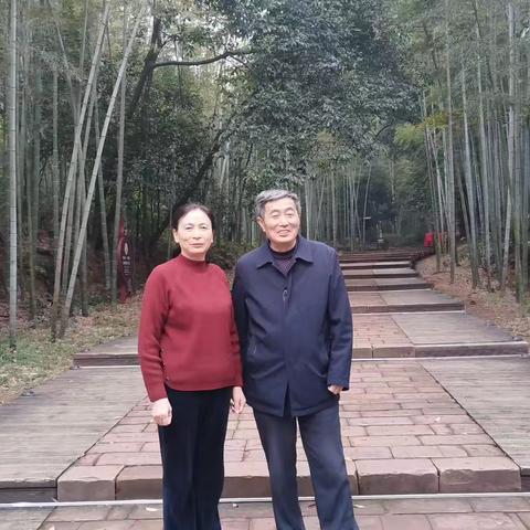 重游龟峰——烟霞翠影绘亲情