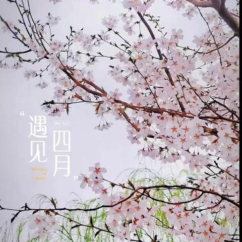 小神童幼儿园4🈷️主题《成长日记》精彩回顾