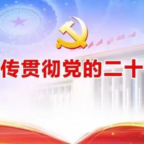 党建+专家指导拨云雾，课程建设再提升 ————记突泉县工农小学课程建设研讨会