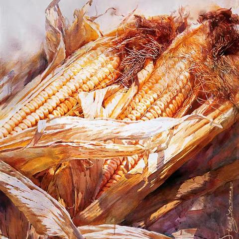 我们和玉米的“写生约会”