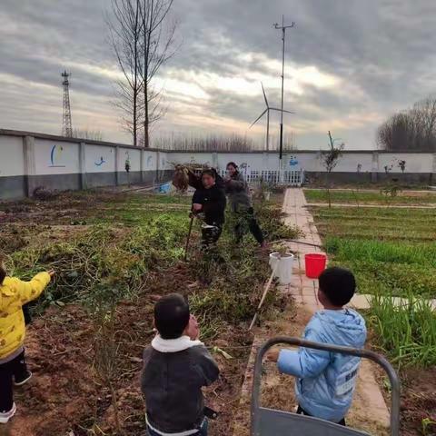 我和红薯有个约会——临颍县颍川教育集团台陈镇梁阁幼儿园“挖红薯”实践活动纪实