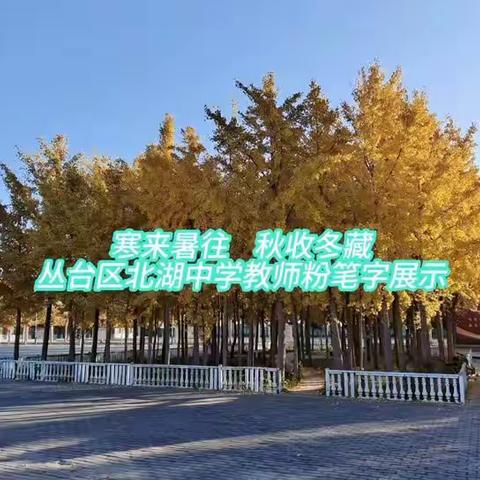 寒来暑往  秋收冬藏 ----丛台区北湖中学每日一书《千字文》教师粉笔字展示