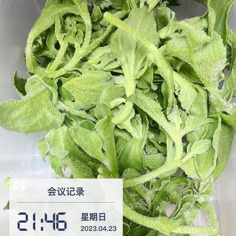 丽泽店2023.4.23厨房原材料检查完毕