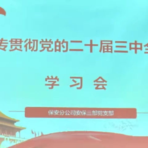 深学笃行二十届三中全会精神，携手共建新中铝