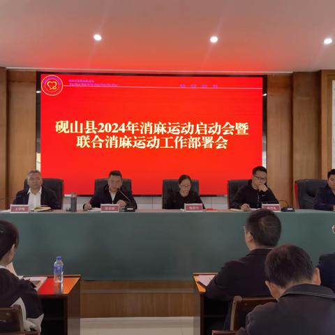 收心聚力绘新篇  踔厉奋发启新程—砚山县2024年2月19—20日联合消除麻风运动工作开展情况