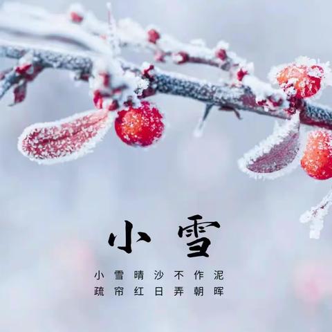 《知时节，迎小雪》——机场路小学附属幼儿园大班“小雪”节气主题活动