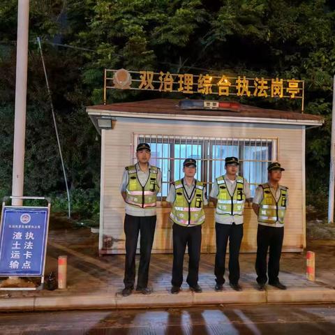 东湖风景区夜间执法情况汇总