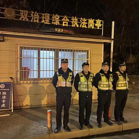 东湖风景区夜间执法情况汇总