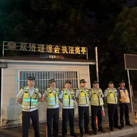 东湖风景区夜间执法情况汇总