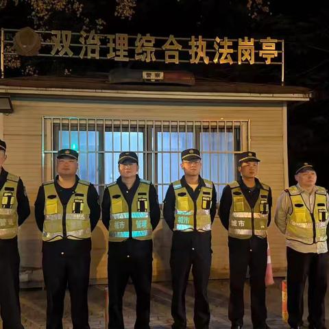 东湖风景区夜间执法情况汇总