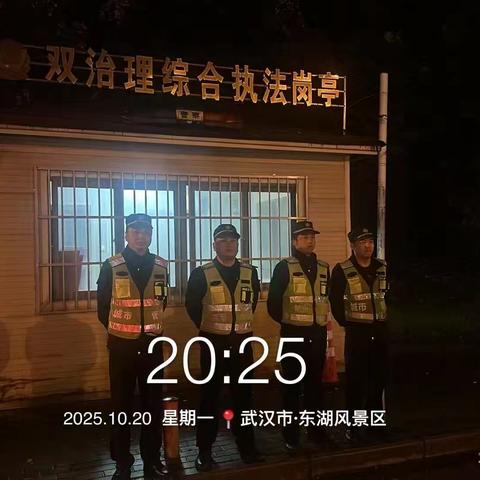 东湖风景区夜间执法情况汇总