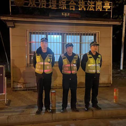 东湖风景区夜间执法情况汇总