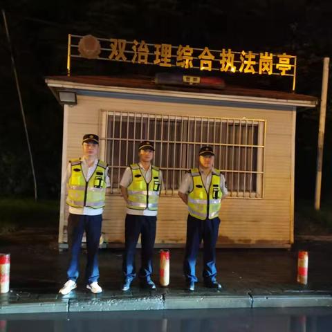 东湖风景区夜间执法情况汇总