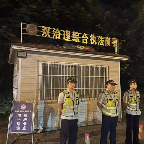 东湖风景区夜间执法情况汇总
