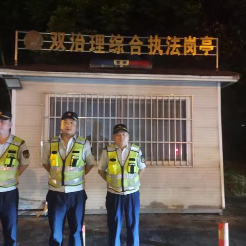东湖风景区夜间执法情况汇总
