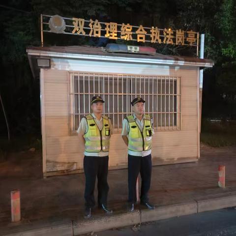 东湖风景区夜间执法情况汇总