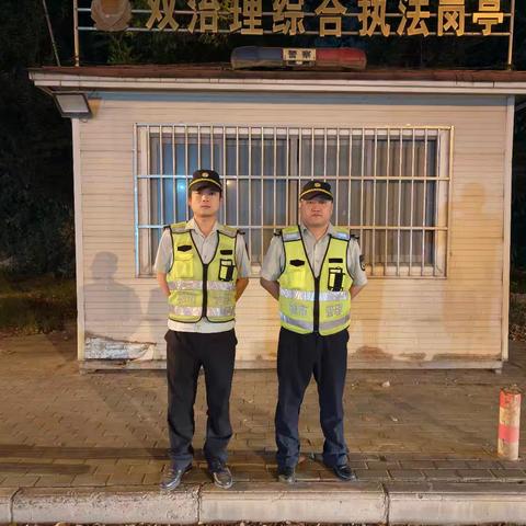 东湖风景区夜间执法情况汇总