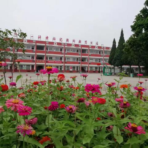 长葛市后河镇中心小学中秋节假期安全教育