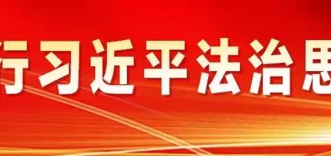 “以法之名，保护少年的你”——文化小学法治教育系列活动