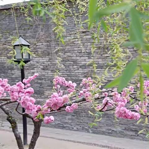 感恩教师节