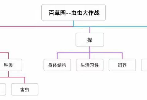 中一班《虫虫大作战》主题课程回顾