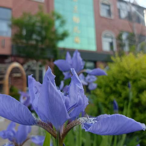 叮~井陉县第三幼儿园“五一”假期返园通知及温馨提示