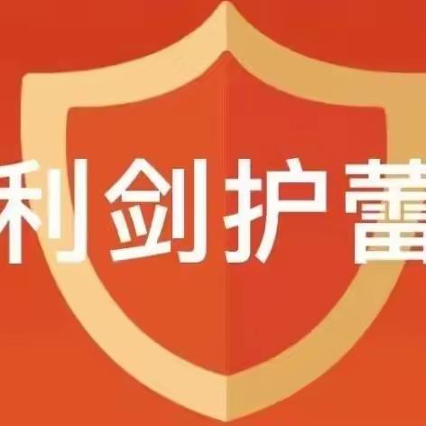 聚力成“剑”，全面护“蕾”——红旗小学利剑护蕾主题班会