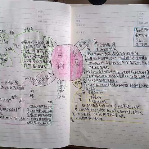 五一作业：《青铜葵花》优秀阅读思维导图