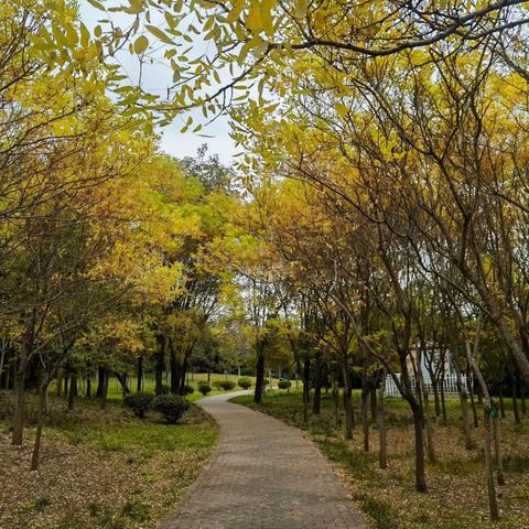 民盛·盛世豪庭11月份工作简报