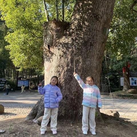 与家人在坛头湿地公园寻秋