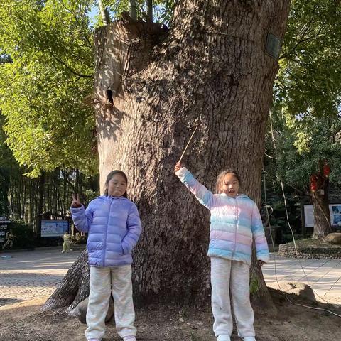 秋假的午后  坛头湿地公园寻秋