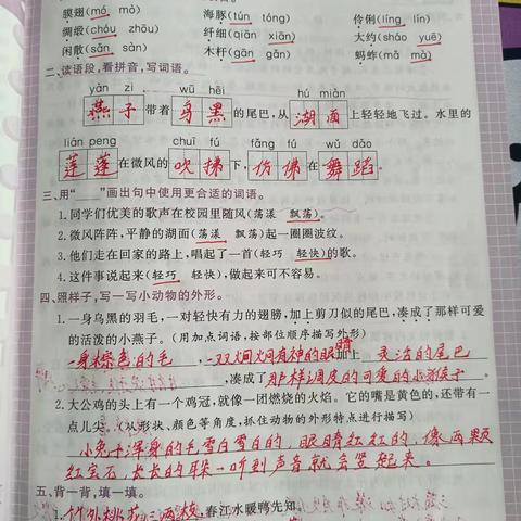 三年级语文“暑假作业”答案